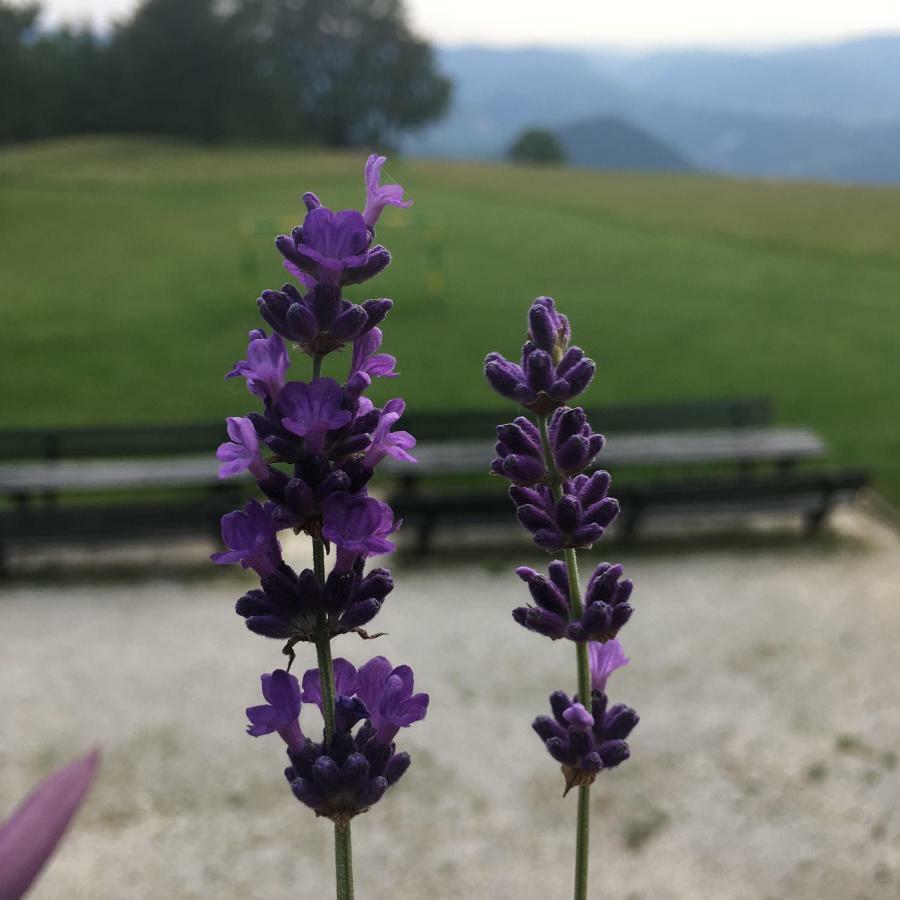 Planinski Dom Na Kalu Bed & Breakfast Dol pri Hrastniku Екстериор снимка